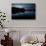 Two Swans in the Lake in Ibirapuera Park at Dusk-Alex Saberi-Photographic Print displayed on a wall