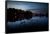 Two Swans in the Lake in Ibirapuera Park at Dusk-Alex Saberi-Framed Stretched Canvas