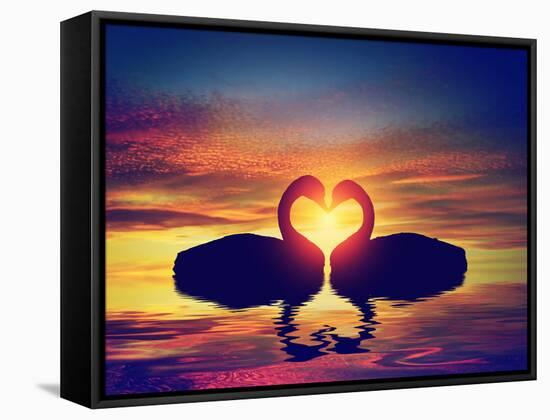 Two Swans Making a Heart Shape at Sunset. Valentine's Day Romantic Concept-Michal Bednarek-Framed Stretched Canvas
