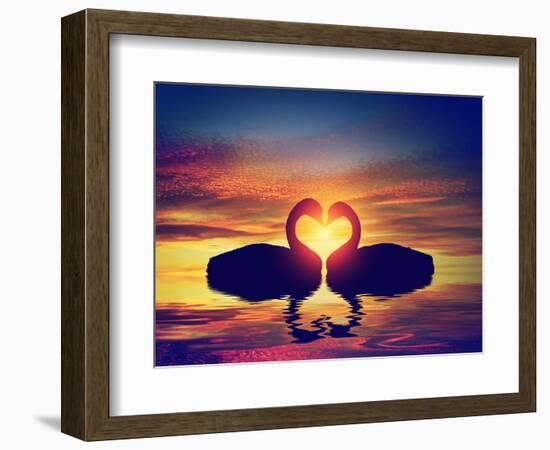 Two Swans Making a Heart Shape at Sunset. Valentine's Day Romantic Concept-Michal Bednarek-Framed Photographic Print