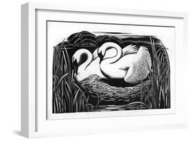 Two Swans-Clifford Webb-Framed Art Print