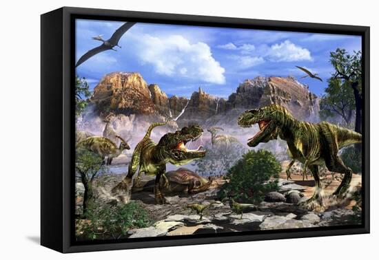 Two T-Rex Dinosaurs Fighting over a Dead Carcass-Stocktrek Images-Framed Stretched Canvas