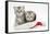 Two Tabby Kittens in a Father Christmas Hat-Mark Taylor-Framed Stretched Canvas