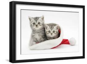 Two Tabby Kittens in a Father Christmas Hat-Mark Taylor-Framed Photographic Print