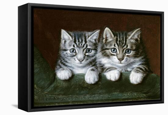 Two Tabby Kittens-Horatio Henry Couldery-Framed Stretched Canvas