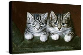 Two Tabby Kittens-Horatio Henry Couldery-Stretched Canvas