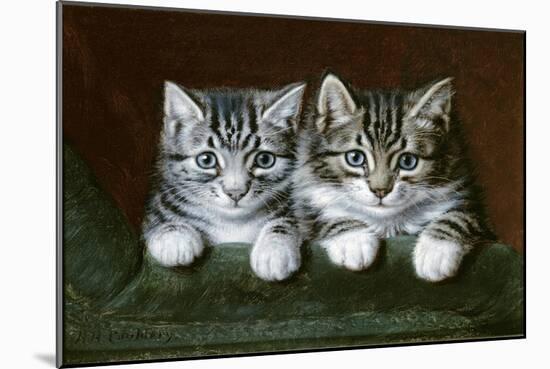 Two Tabby Kittens-Horatio Henry Couldery-Mounted Giclee Print