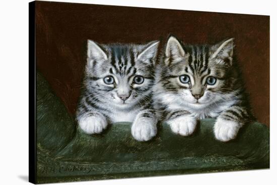 Two Tabby Kittens-Horatio Henry Couldery-Stretched Canvas