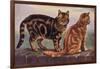 Two Tabbys on a Wall-W. Luker-Framed Art Print