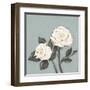 Two Tan Roses-Jade Reynolds-Framed Art Print