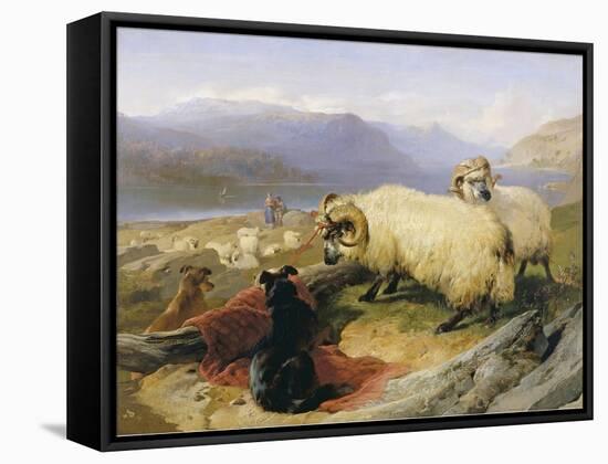 Two Tethered Rams with Coiled Horns Guarded by Two Sheep Dogs in a Mountain Landscape, 19th Century-Edwin Henry Landseer-Framed Stretched Canvas