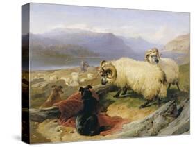 Two Tethered Rams with Coiled Horns Guarded by Two Sheep Dogs in a Mountain Landscape, 19th Century-Edwin Henry Landseer-Stretched Canvas