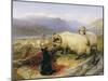 Two Tethered Rams with Coiled Horns Guarded by Two Sheep Dogs in a Mountain Landscape, 19th Century-Edwin Henry Landseer-Mounted Giclee Print