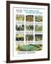 Two Thousand Years of Soccer-English School-Framed Giclee Print