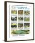 Two Thousand Years of Soccer-English School-Framed Premium Giclee Print