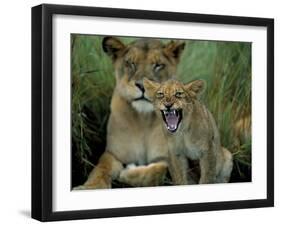 Two to Three Month Old Lion Cub with Lioness (Panthera Leo), Kruger National Park, South Africa-Steve & Ann Toon-Framed Photographic Print