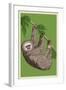 Two Toed Sloth - Letterpress-Lantern Press-Framed Art Print