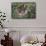 Two-Toed Tree Sloth Hanging from Tree-DLILLC-Framed Stretched Canvas displayed on a wall