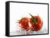 Two Tomatoes Surrounded with Water-Michael Löffler-Framed Stretched Canvas