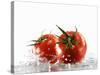 Two Tomatoes Surrounded with Water-Michael Löffler-Stretched Canvas