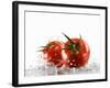 Two Tomatoes Surrounded with Water-Michael Löffler-Framed Photographic Print