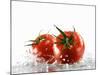 Two Tomatoes Surrounded with Water-Michael Löffler-Mounted Photographic Print