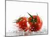 Two Tomatoes Surrounded with Water-Michael Löffler-Mounted Photographic Print