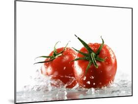 Two Tomatoes Surrounded with Water-Michael Löffler-Mounted Photographic Print