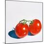 Two Tomatoes-Julia-Mounted Giclee Print