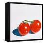 Two Tomatoes-Julia-Framed Stretched Canvas