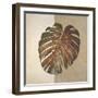 Two Tone Balazo I-Patricia Pinto-Framed Art Print