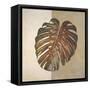 Two Tone Balazo I-Patricia Pinto-Framed Stretched Canvas