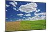 Two toned hill in the Flint Hills of Kansas-Michael Scheufler-Mounted Photographic Print
