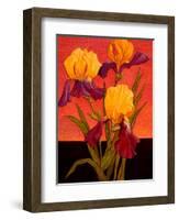 Two Toned Irises-John Newcomb-Framed Giclee Print