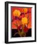 Two Toned Irises-John Newcomb-Framed Giclee Print