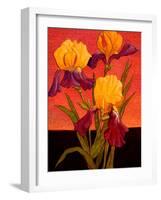 Two Toned Irises-John Newcomb-Framed Giclee Print