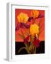 Two Toned Irises-John Newcomb-Framed Giclee Print