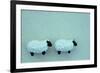 Two Toy Sheep-Den Reader-Framed Photographic Print