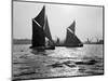 Two Traditional Thames Barges in the Lower Thames Estuary, 1935-null-Mounted Photographic Print