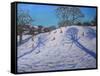 Two Tree Shadows, Bolehill, Wirksworth, 2009-Andrew Macara-Framed Stretched Canvas