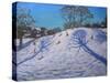 Two Tree Shadows, Bolehill, Wirksworth, 2009-Andrew Macara-Stretched Canvas