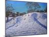 Two Tree Shadows, Bolehill, Wirksworth, 2009-Andrew Macara-Mounted Giclee Print