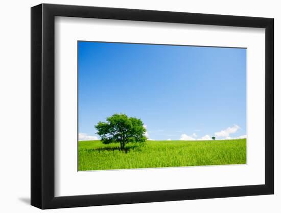 Two Trees in an Open Field-Stanislav Komogorov-Framed Photographic Print