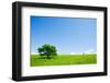 Two Trees in an Open Field-Stanislav Komogorov-Framed Photographic Print