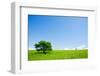 Two Trees in an Open Field-Stanislav Komogorov-Framed Photographic Print