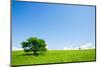 Two Trees in an Open Field-Stanislav Komogorov-Mounted Photographic Print