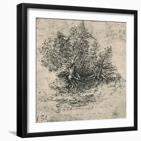 'Two Trees on the Bank of a Stream', c1480 (1945)-Leonardo Da Vinci-Framed Giclee Print