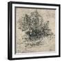 'Two Trees on the Bank of a Stream', c1480 (1945)-Leonardo Da Vinci-Framed Giclee Print