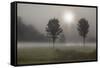 Two Trees & Sunburst, Logan, Ohio ‘10-Monte Nagler-Framed Stretched Canvas