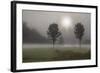 Two Trees & Sunburst, Logan, Ohio ‘10-Monte Nagler-Framed Photographic Print